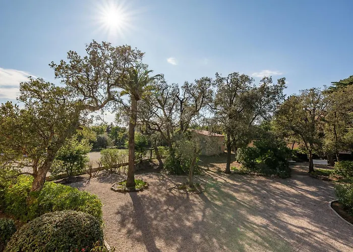 La Nuit De Mai-6 By Interhome Lägenhet Saint Aygulf